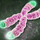 Illustration for article titled New Technique Reverses Aging By Decades In Cultured Human Cells